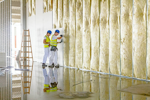 Best Geographic-Specific Insulation Services in Brookville, NY